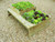 The 2 tier raised bed with garden bench attached
