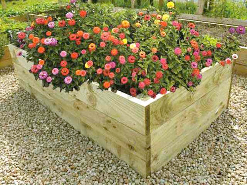 Timber raised bed with ornamental flowers