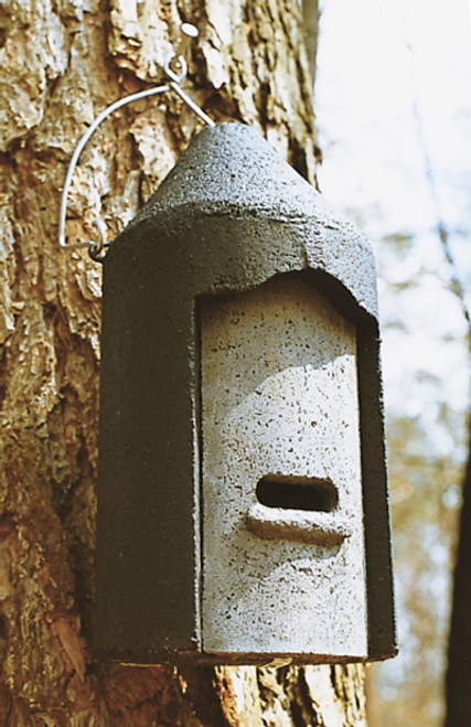 Front view photo of the bat box