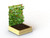 Wooden garden planter with trellis