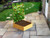 Timber raised garden planter for climbing plants
