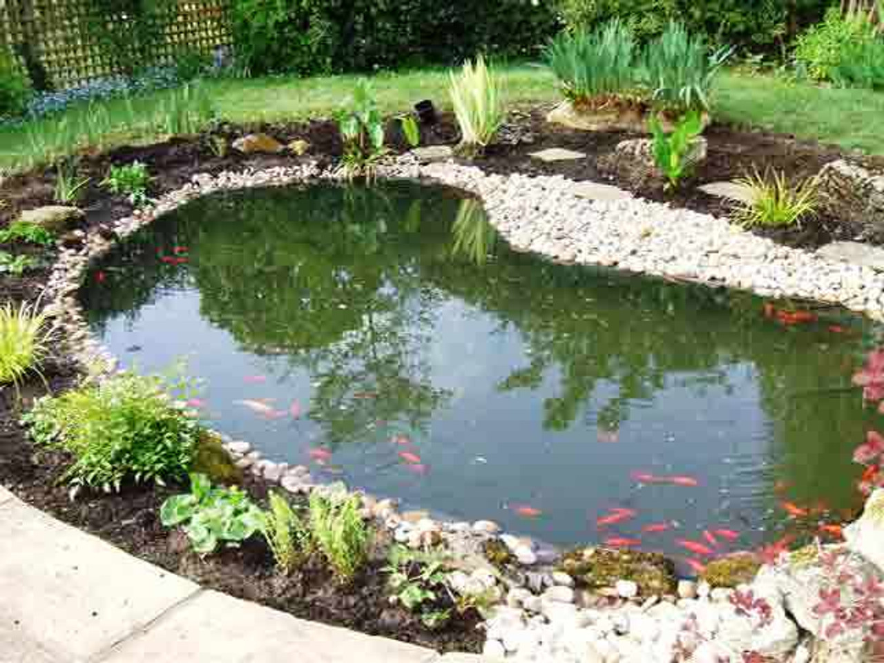 garden pond with natural ramps