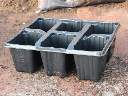 6 pack of 6 cell plant trays for seedlings