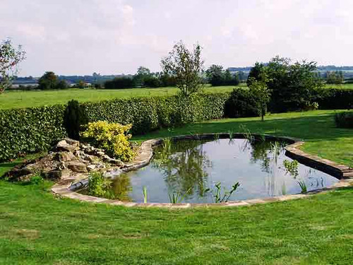 7m x 6m sunken garden pond