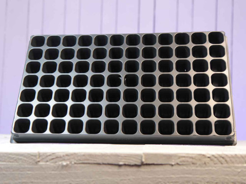 84 cell tray on a bench