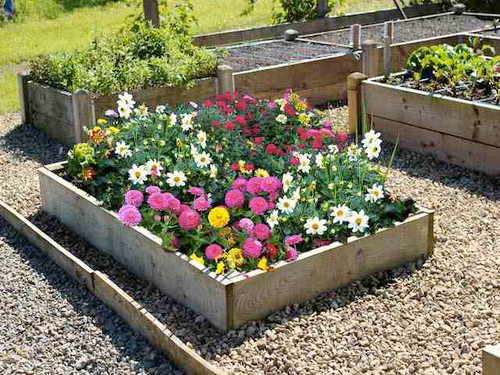 9 inch high timber raised flower bed
