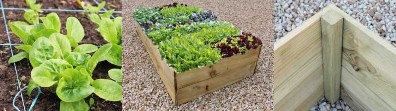 Allotment raised vegetable beds