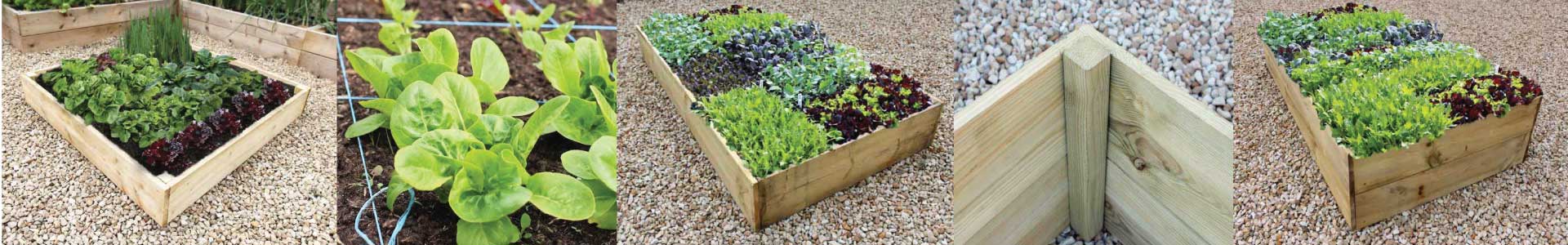 Allotment raised vegetable beds