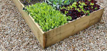 Allotment raised vegetable beds
