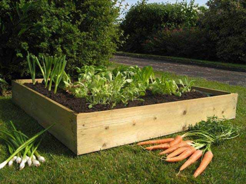 Raised bed with soil and vegetables