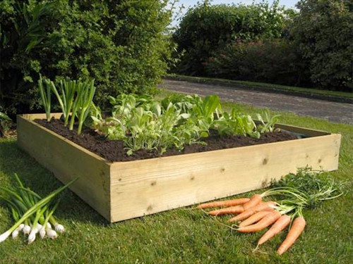 Tall timber raised vegetable bed kit