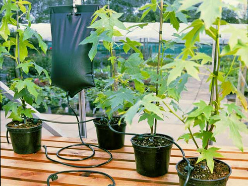 The big drippa drip watering kit and reservoir