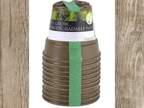 biodegradable plant pots from botanico