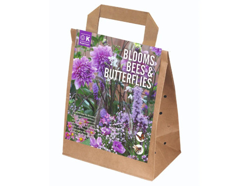 Blooms Bees and Butterflies Violet and Pink Shades