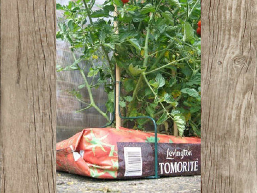 grow bag cane support frame pack of 3
