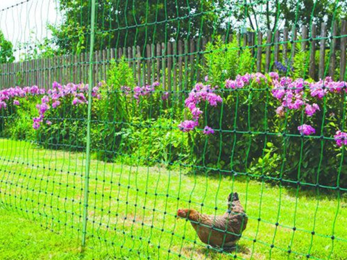 chicken enclosure netting