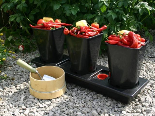 Vitopod Chilligrow Planter