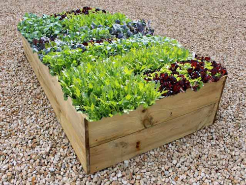 Tall timber raised vegetable bed kit