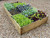 The classic 9 inch high raised vegetable garden bed