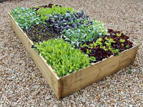 The classic 9 inch high raised vegetable garden bed