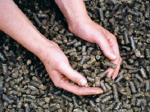 comfrey plant feed pellets