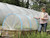 A mini mesh netting tunnel next to a standard poly tunnel