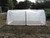 the mini polytunnel with poly cover in action, heating up the soil