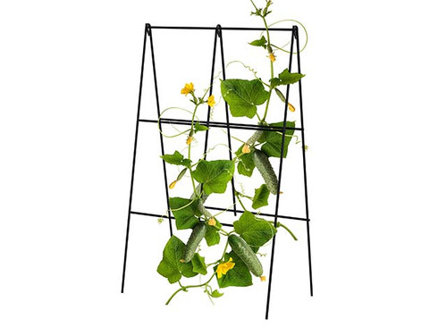 folding trellis