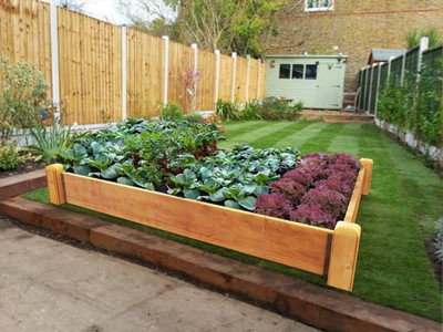 Deluxe 22.5cm Raised Bed Kits