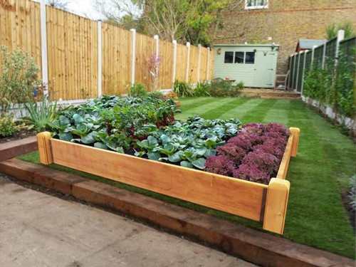 Deluxe 22.5cm Raised Bed Kits