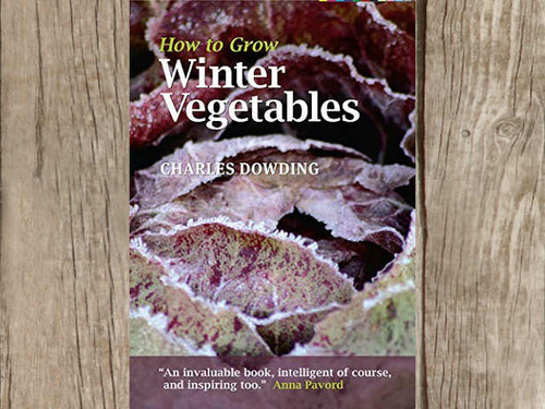 How to grow winter vegetables by Charles Dowding