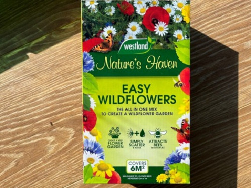 easy wildflowers all-in-one mix