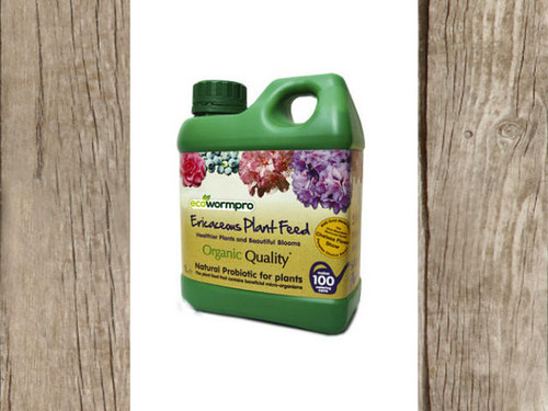 Concentrated ericaceous plant feed in one litre bottle