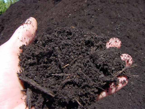 a handful of envirogrind compost and soil improver