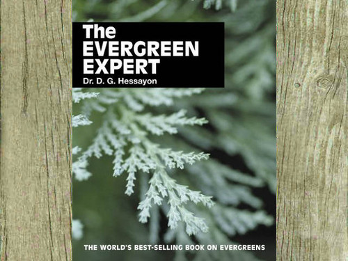 The Evergreen Expert by Dr. D G Hessayon
