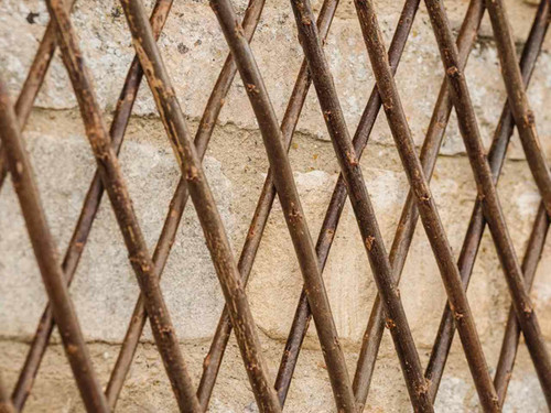 willow trellis plant support