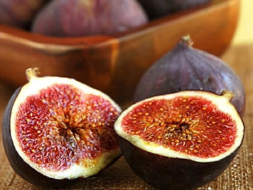 Brown Turkey Fig Trees