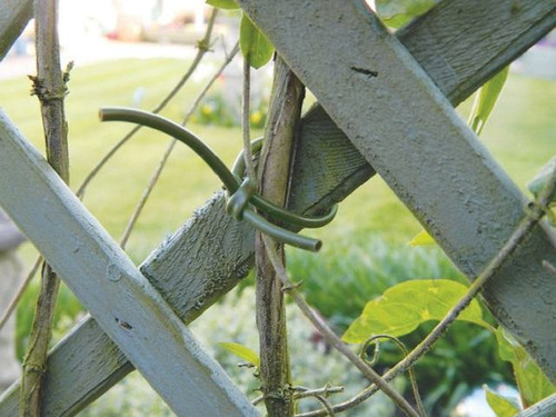 Plant and tree support cable can be cut to size as needed