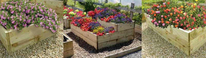 Timber raised decorative flower beds