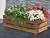 Rectangular flower box