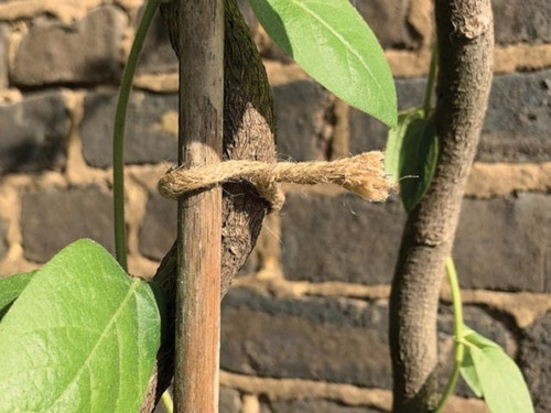 Natural jute twist ties from Garland
