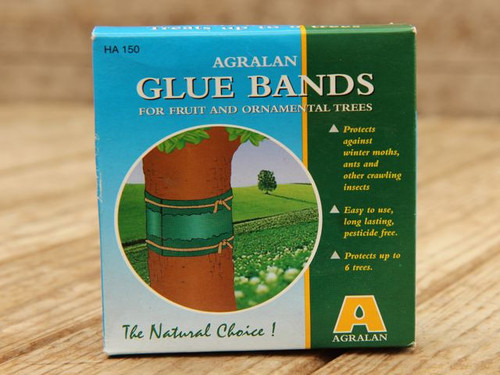 Glue bands for fruit tree pest control