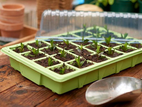 Grow It Propagator Set
