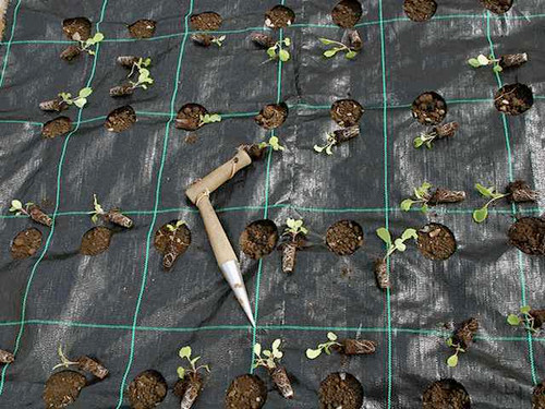 Gro grid weed control planting mat