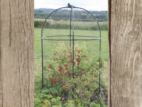 Domed fruit cage for plant protection