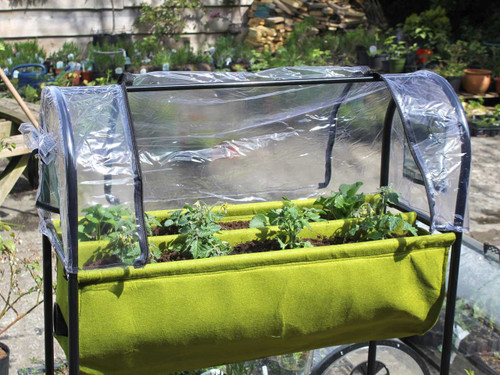 Vigoroot self watering planter