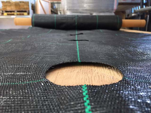 Gro grid planting mat for hedging plants
