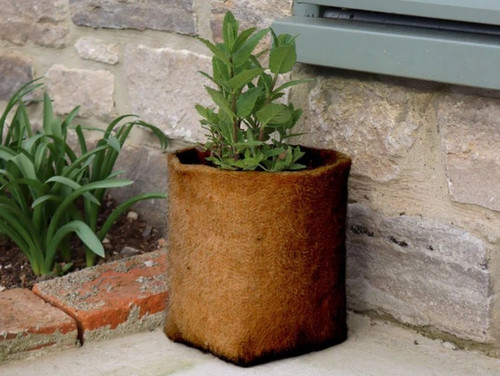 biodegradable hemp pots