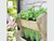 Fresh herbs growing in a wall planter