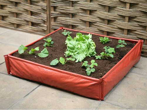 Raised bed vegetable planter beginners kits